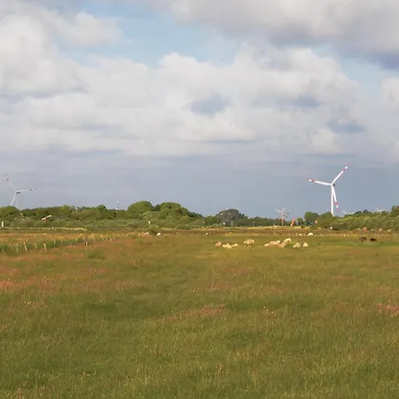 In With Wifi Tatil Evi